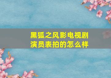 黑狐之风影电视剧演员表拍的怎么样