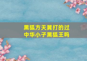 黑狐方天翼打的过中华小子黑狐王吗