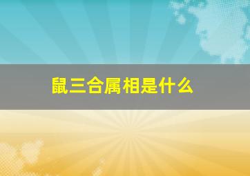 鼠三合属相是什么