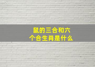 鼠的三合和六个合生肖是什么