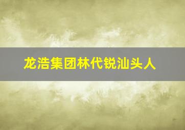 龙浩集团林代锐汕头人