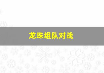 龙珠组队对战